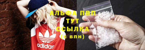 молекула духа Пестово