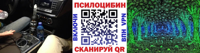 Псилоцибиновые грибы Psilocybe  Купить закладки  Находка 